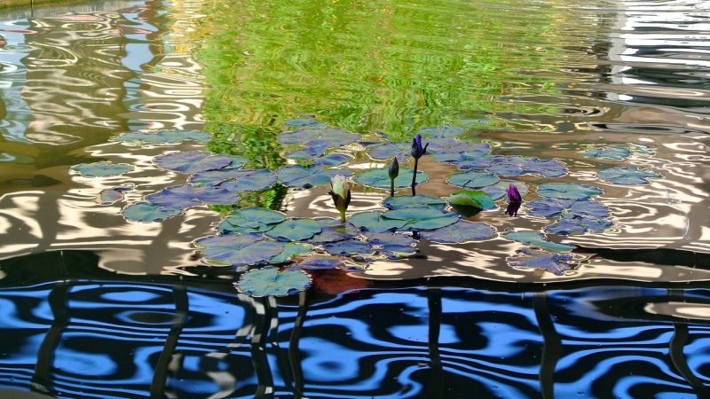 Water, pond, nature — Understanding Sleeping Pills in the UK: Types, Uses, and Safety Tips